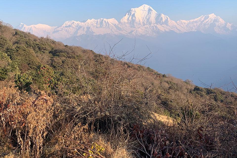 Luxury Annapurna Experience Trek